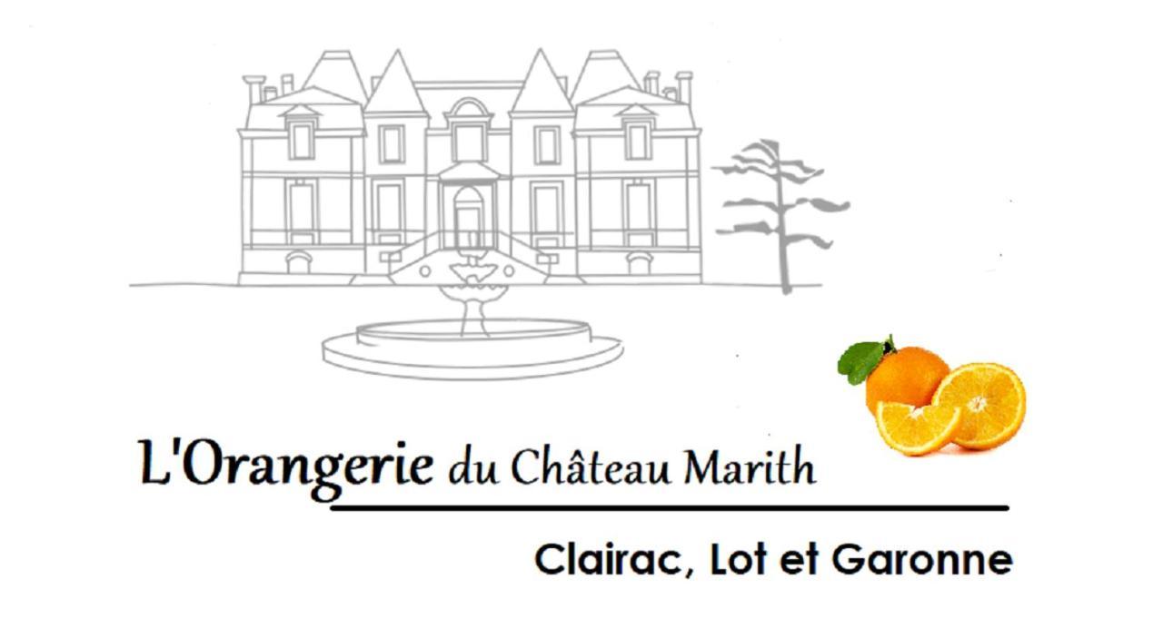 Orangerie Du Chateau Marith - Domaine Avec Piscine Clairac  المظهر الخارجي الصورة