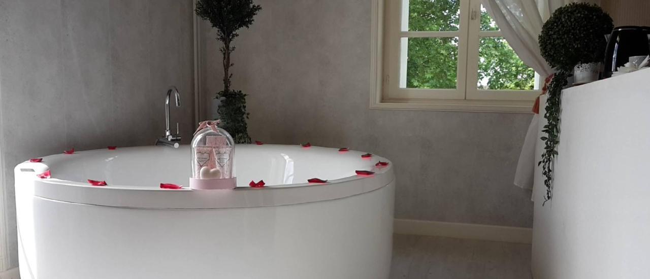 Orangerie Du Chateau Marith - Domaine Avec Piscine Clairac  المظهر الخارجي الصورة