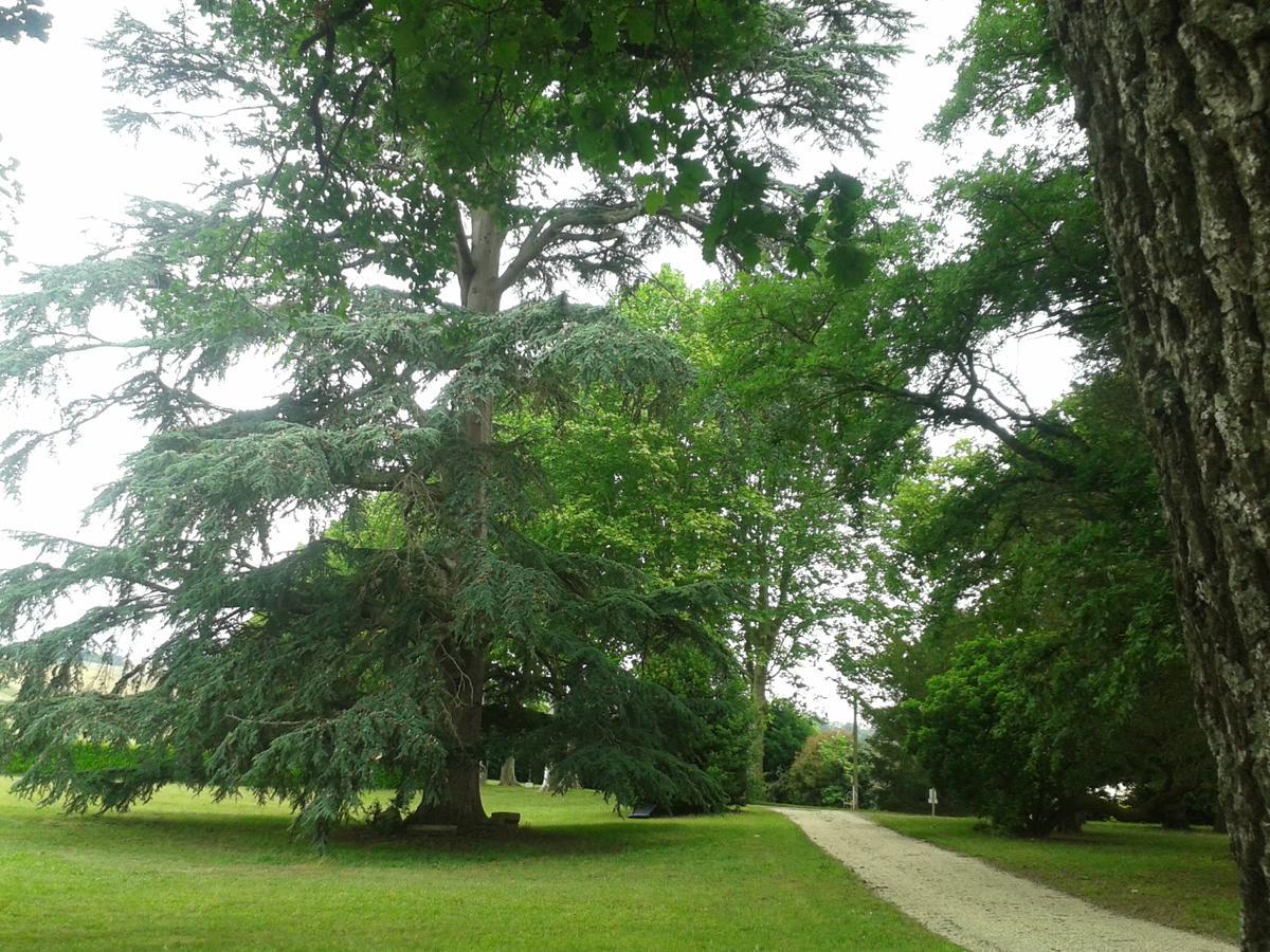 Orangerie Du Chateau Marith - Domaine Avec Piscine Clairac  المظهر الخارجي الصورة